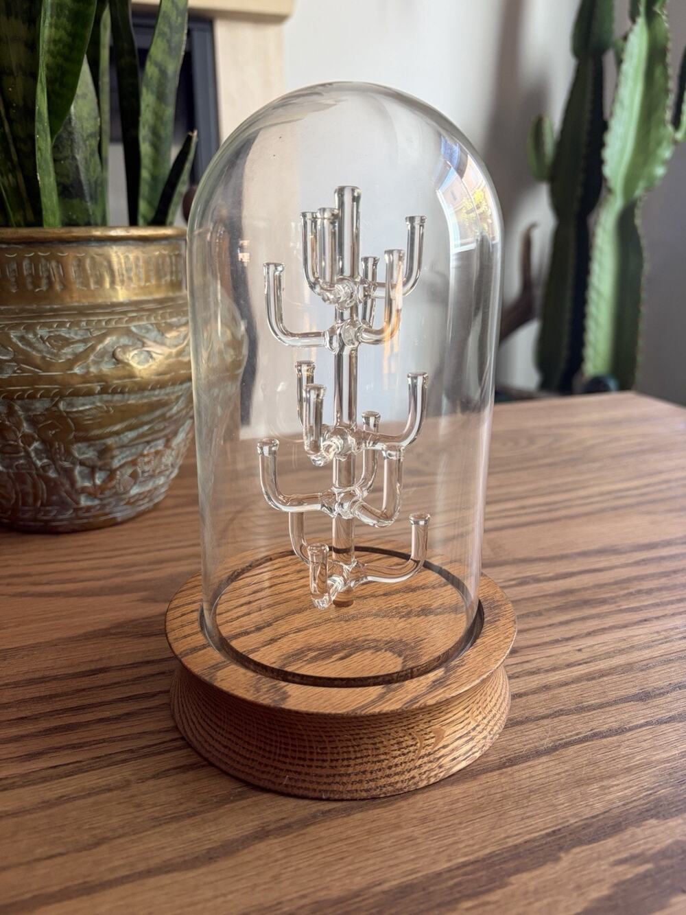 Vintage Glass Thimble Display Tree Glass Dome Display Case with Oak Base